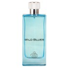 ادکلن مردانه فراگرنس ورد ویلد بلوز Fragrance World Wild Blues 115ml
