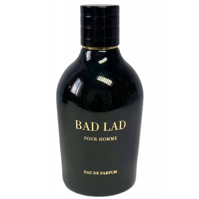 ادکلن مردانه فراگرنس ورد بد لد Fragrance World Bad Lad 100ml